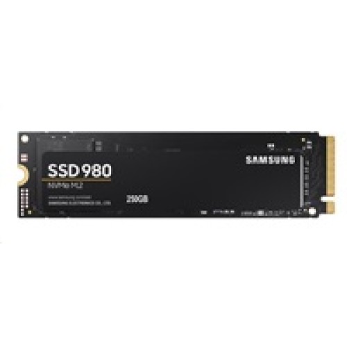 SSD disk Samsung 980-250 GB