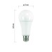 LED žiarovka Classic A67 / E27 / 17 W (120 W) / 1 900 lm / studená biela