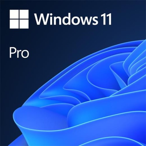 Software Microsoft Windows 11 PRO CZ (OEM) x64 DVD