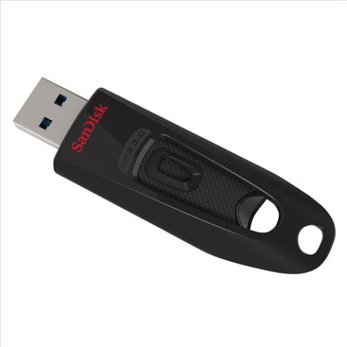 Flashdisk Sandisk Ultra USB 3.0 256 GB