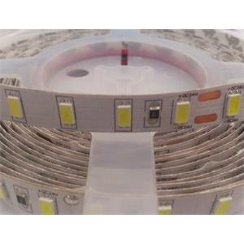 LED pásik Premium Line lighting 5630 75 LED/m, 5m, studená bílá, 24V