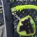 Vymeniteľný obrázok KIGA MAGS Little Wild Cat Chiko k ruksačikom KIGA