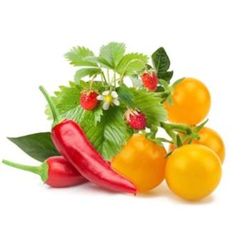 zmes ovocia a zeleniny, kapsule so semienkami a substrátom 9ks, Click and Grow