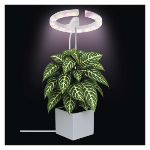 LED GROW pestovateľská lampa 8 W, časovač, stmievateľná, biela