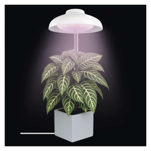 LED GROW pestovateľská lampa 5 W, časovač, biela